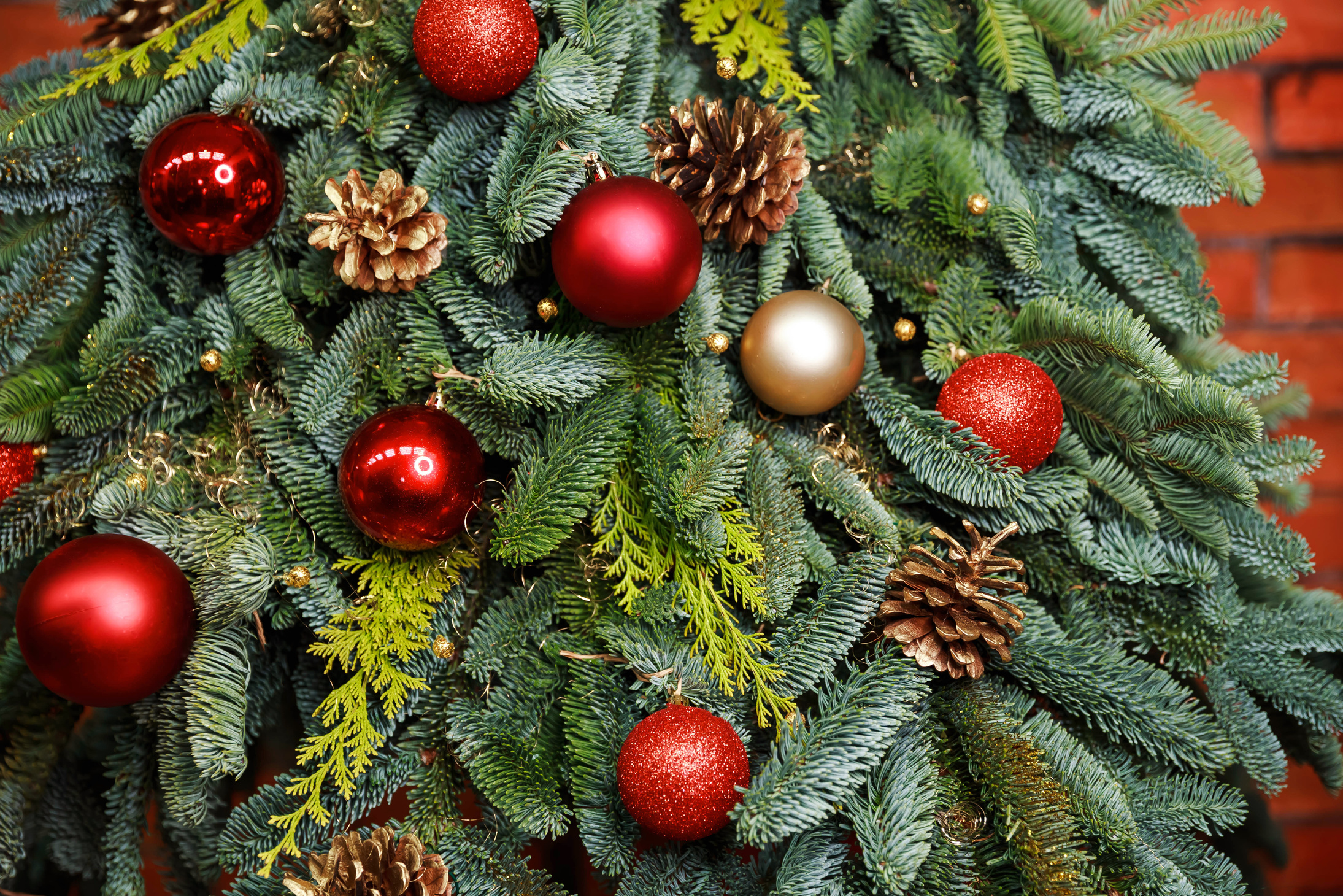 Christmas Tree Ornaments 